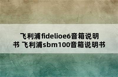 飞利浦fidelioe6音箱说明书 飞利浦sbm100音箱说明书